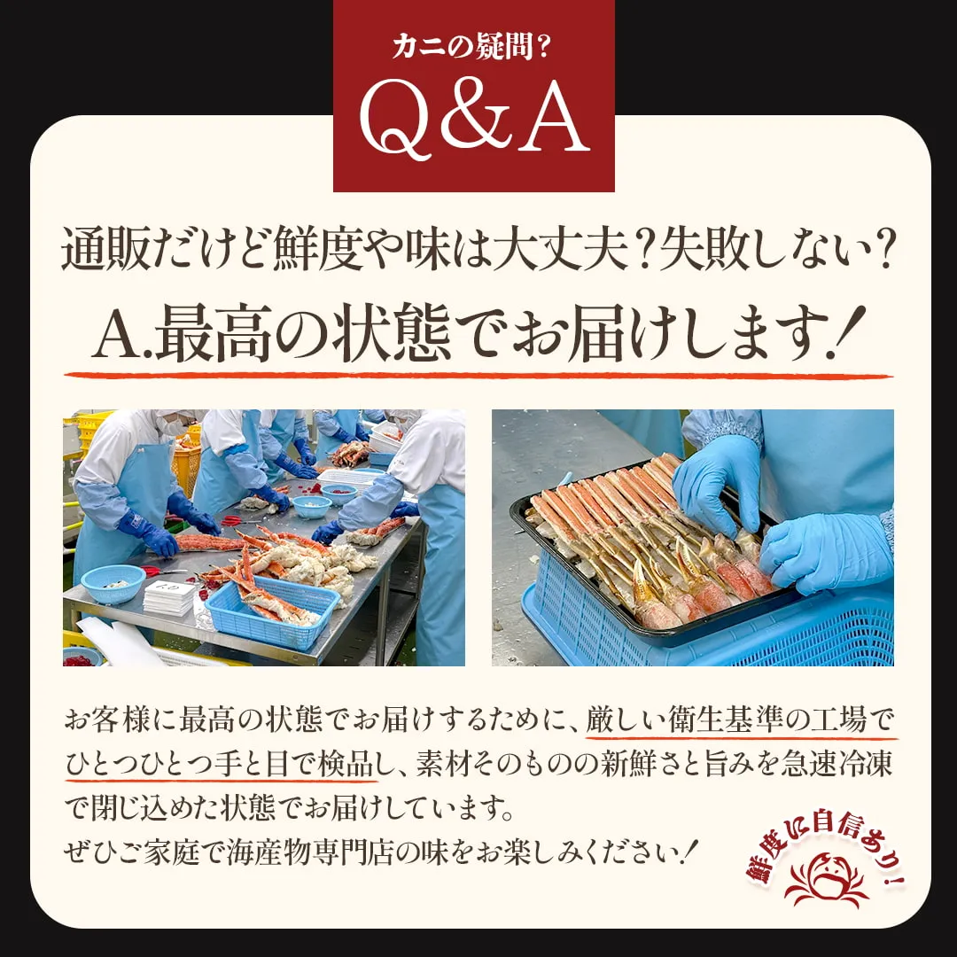 太い脚肉と濃厚な旨みが魅力の、北海道直送ボイルタラバガニ1kg|北海道からお取り寄せ かにの達人
